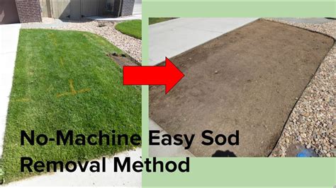 how to remove sod squares